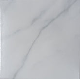 TS100 ORO CANICA GREY CARRARA GLOSS 200X200